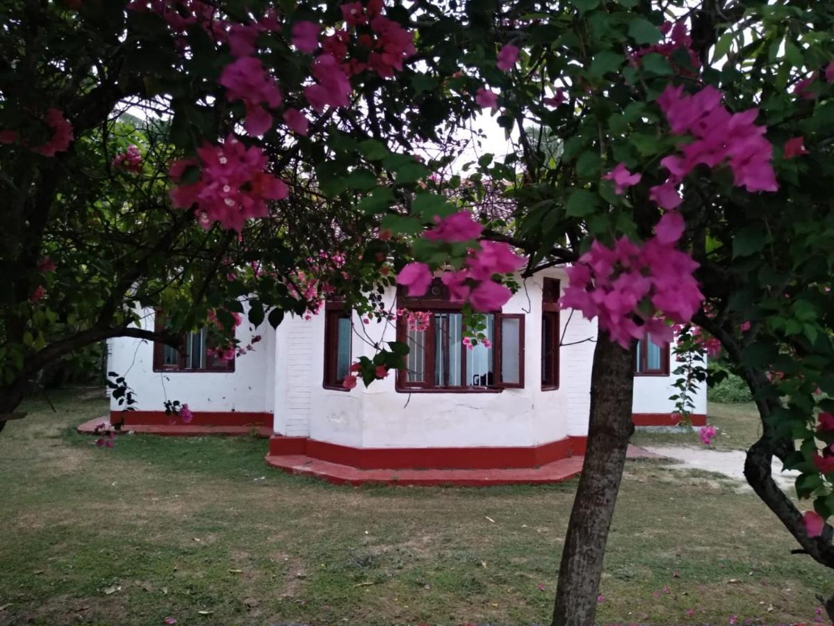 Colonial Surfing Villa Hostel & Home Stay Midigama East Exterior foto